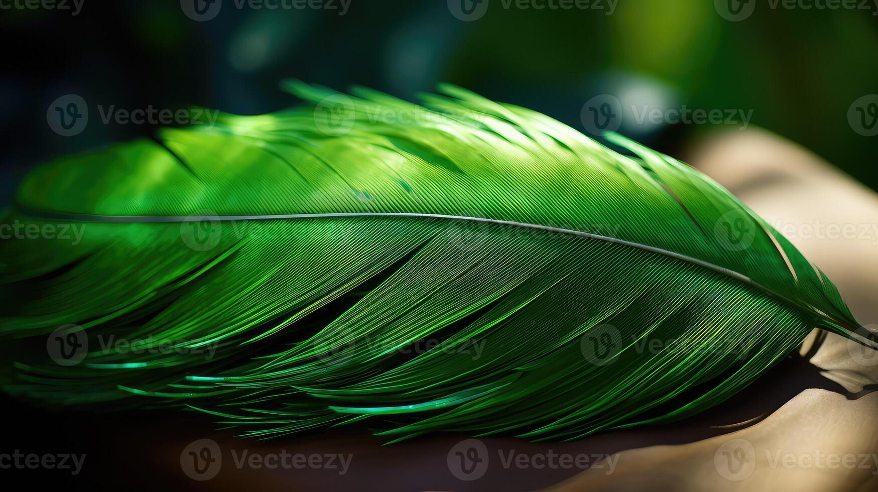 up green feather photo