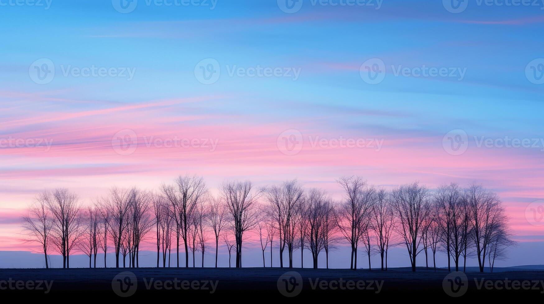 pink winter blue sky photo