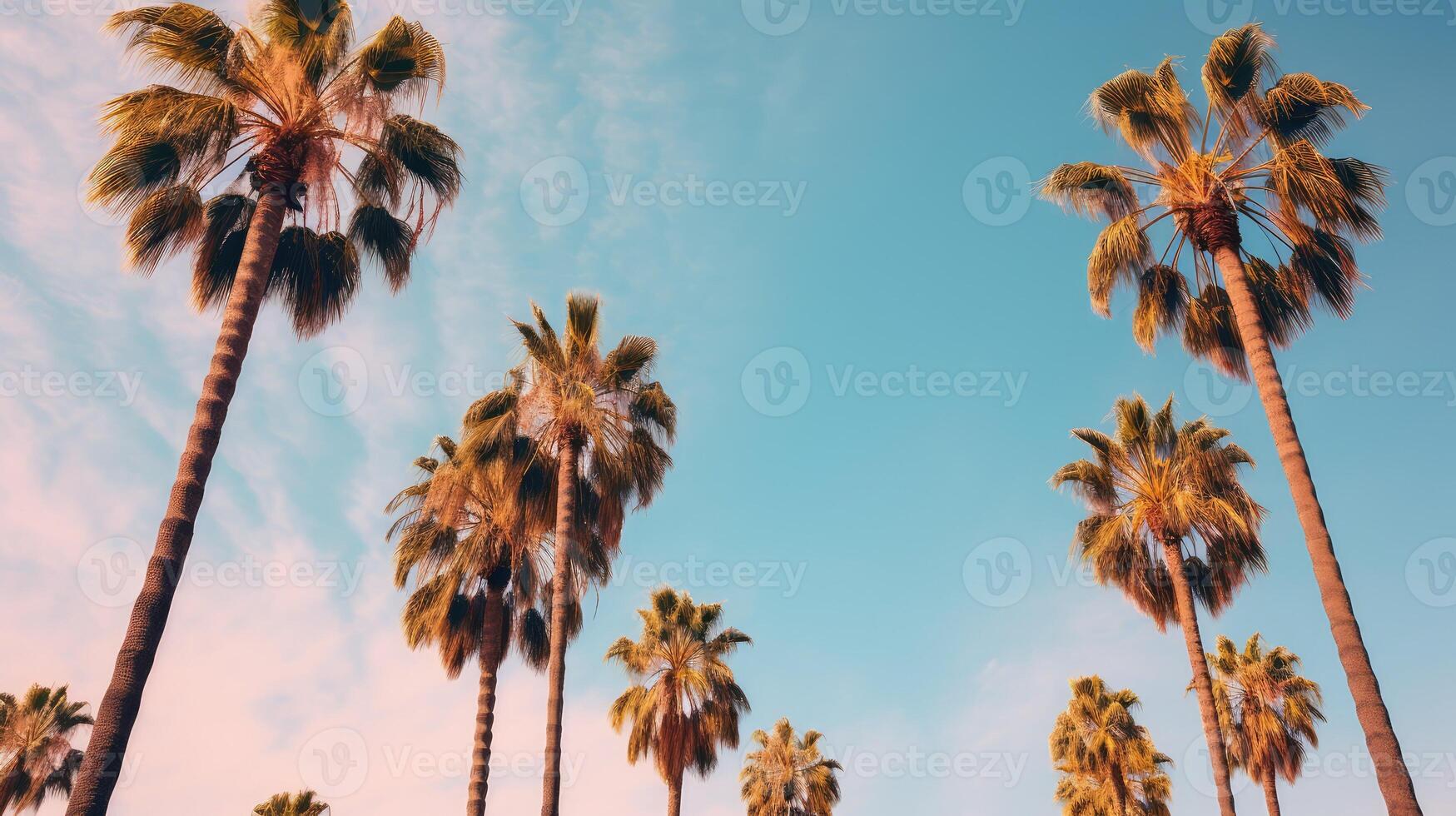 glow palm tree gradient photo