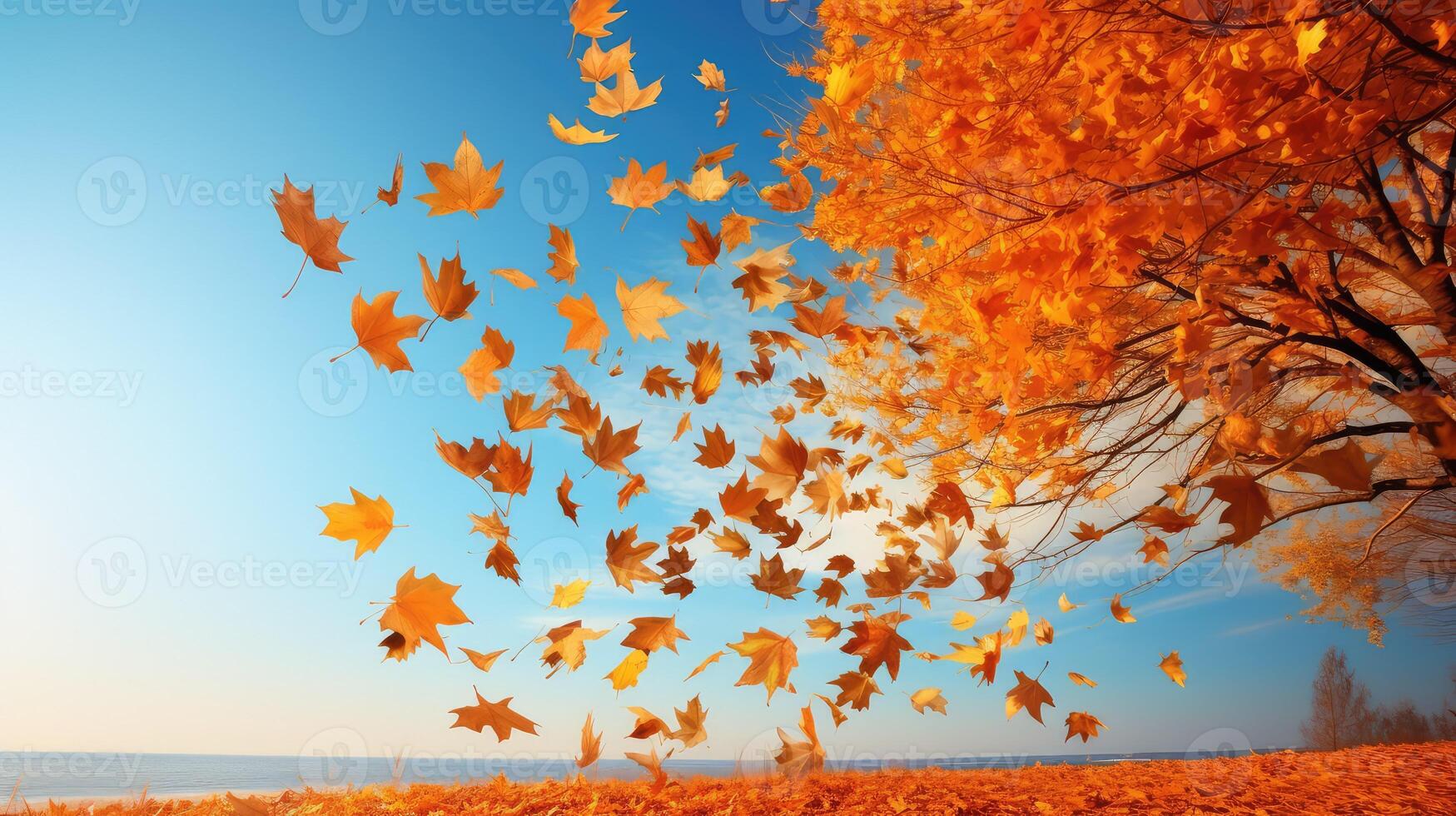 tree falling autumn leaves photo