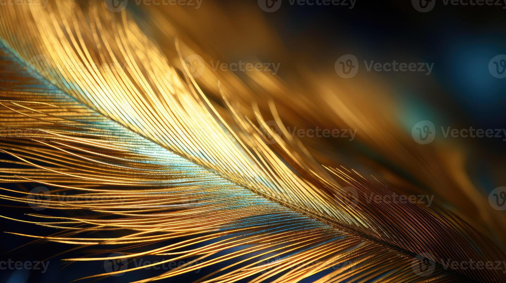 close gold peacock feather photo