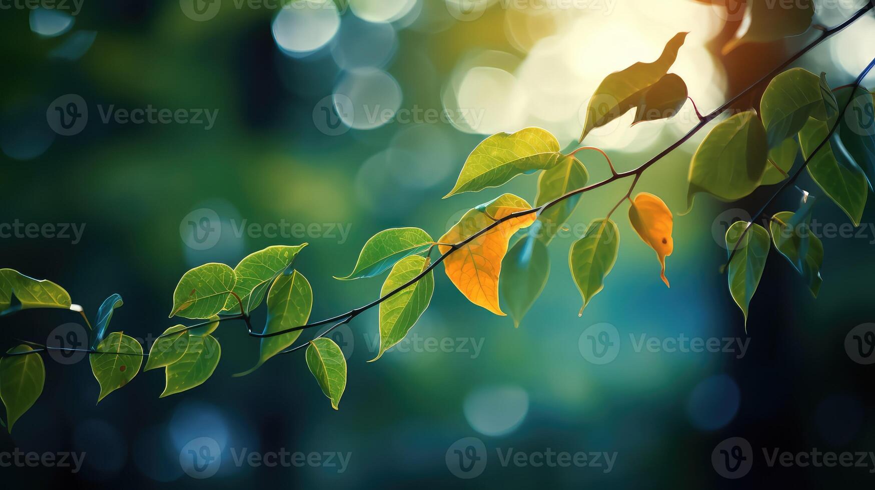 texture leaves bokeh photo
