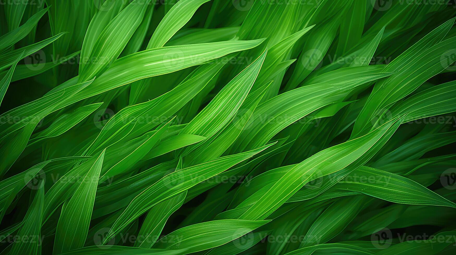 low green abstract background photo