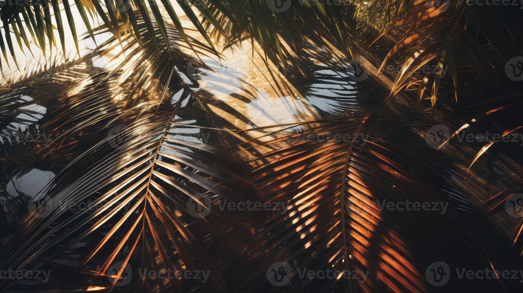 texture palm trees looking up photo