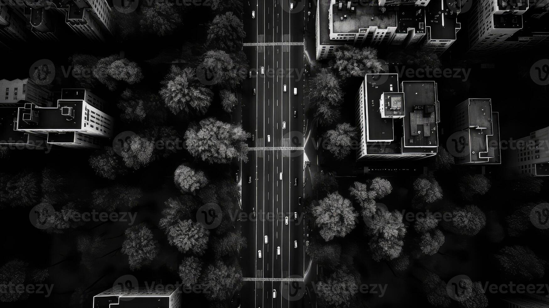 grid forest trees background photo