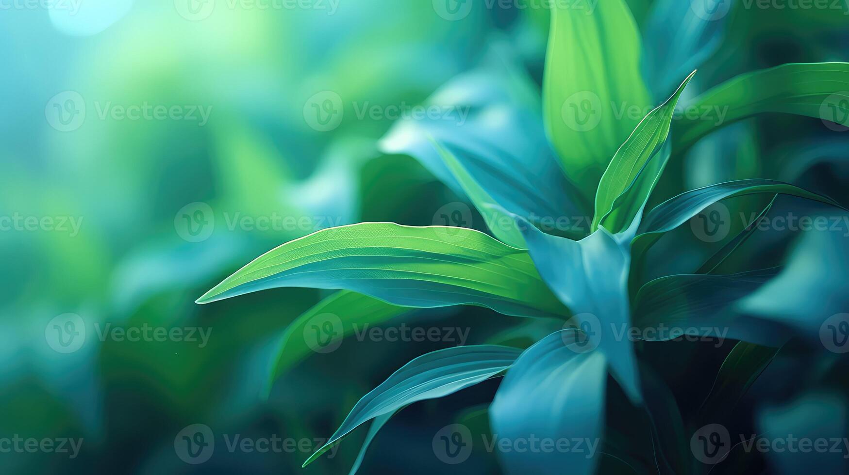 dreamy blurred plant photo