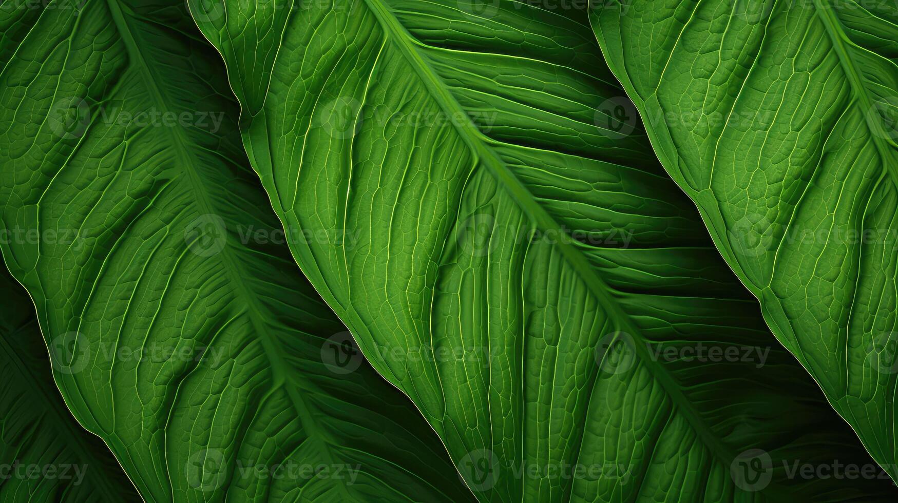 texture green abstract pattern photo