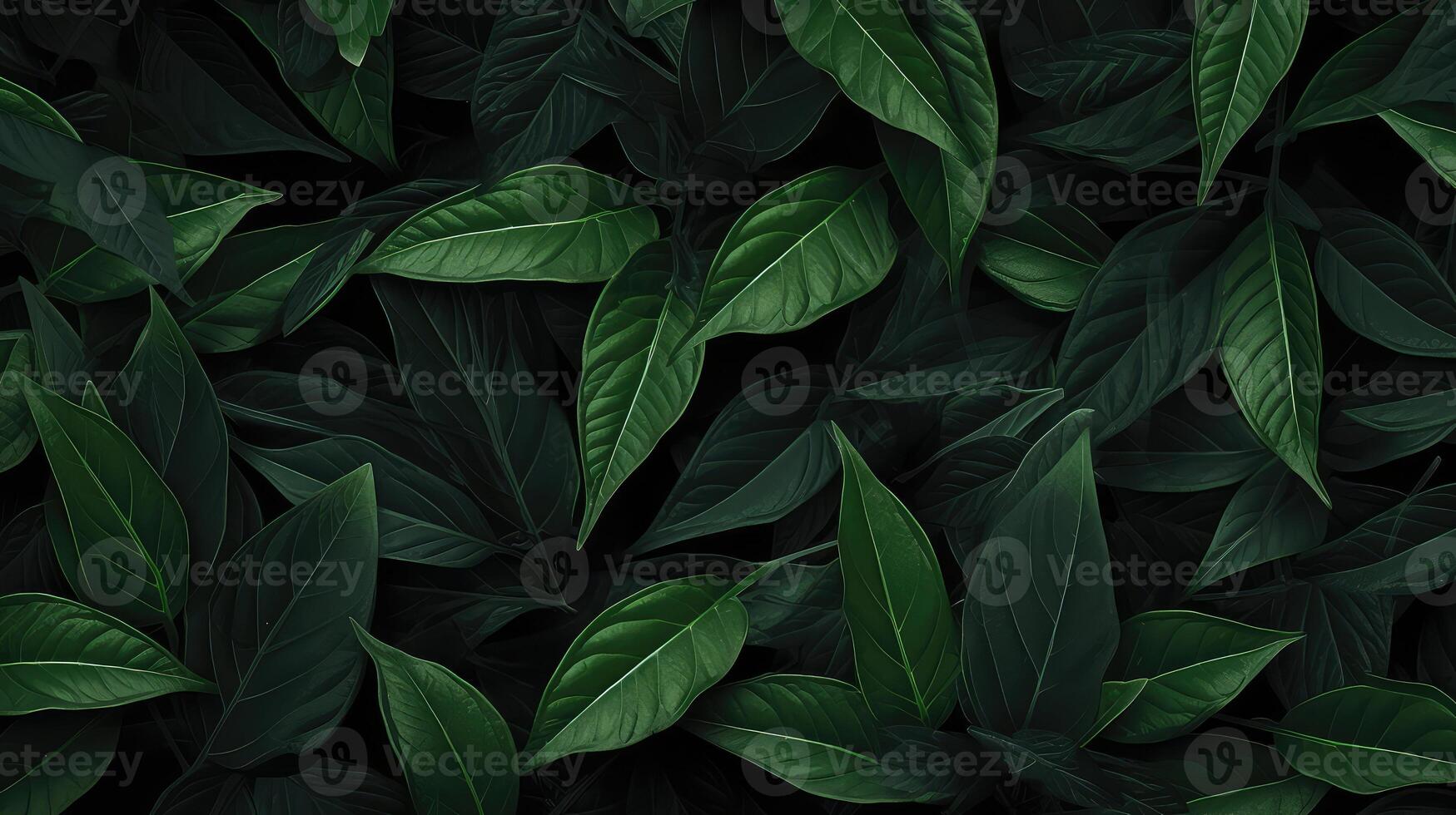black leaf seamless photo