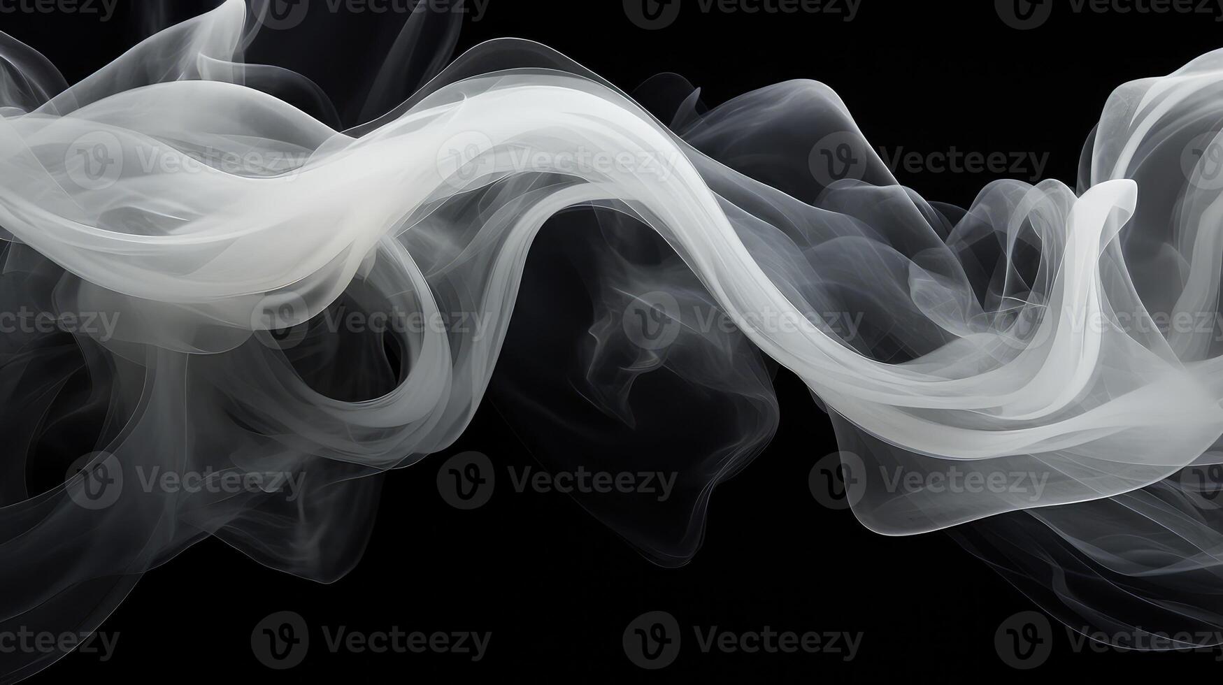 abstract black lungs photo