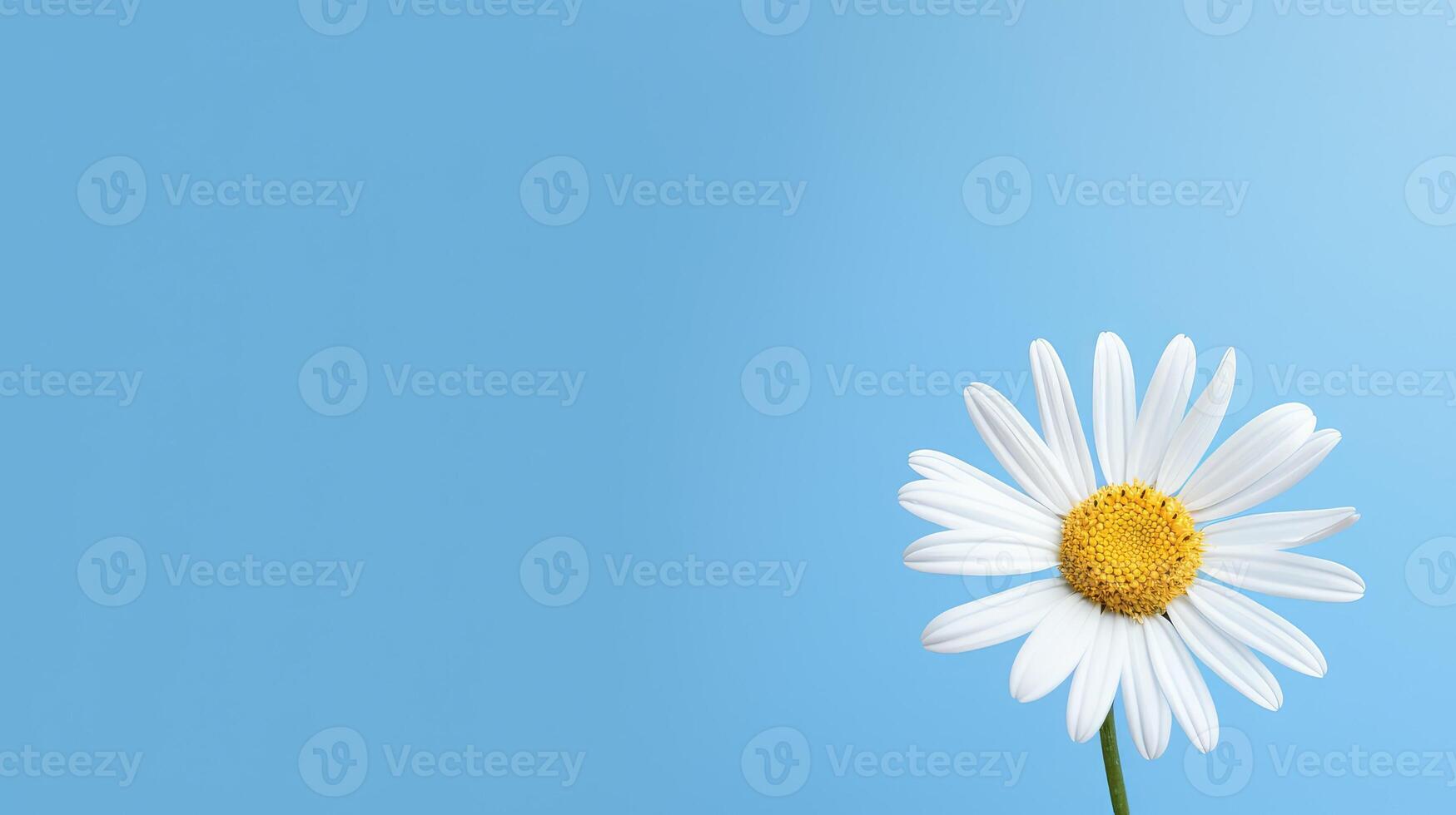 serenity clean light blue background photo