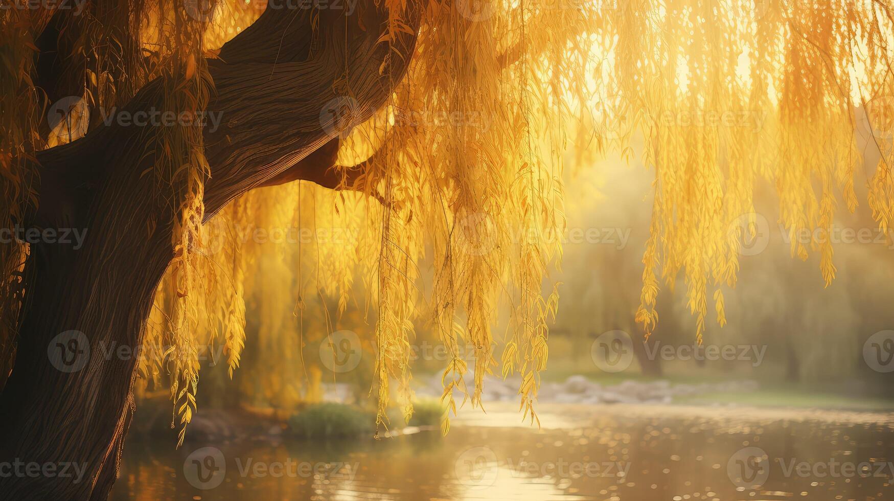sunlight tree with leaves photo