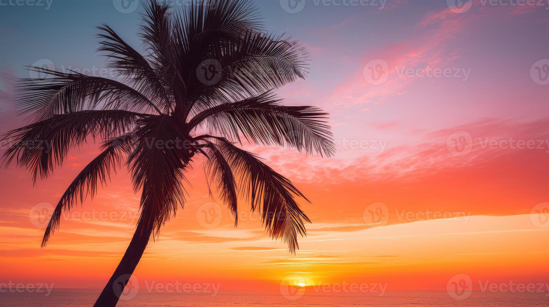 serene isolated palm tree photo