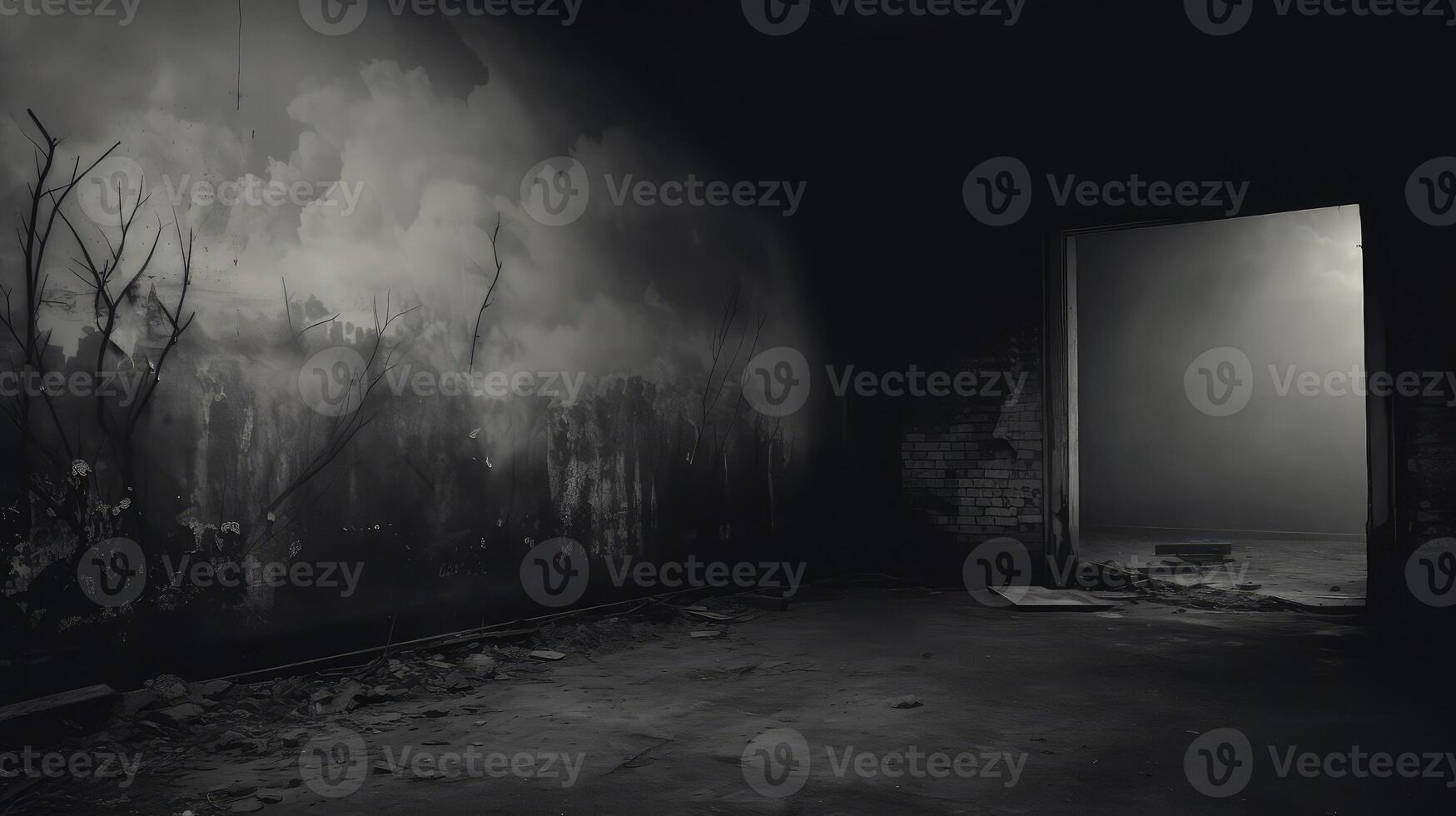 abandoned dark room wall photo