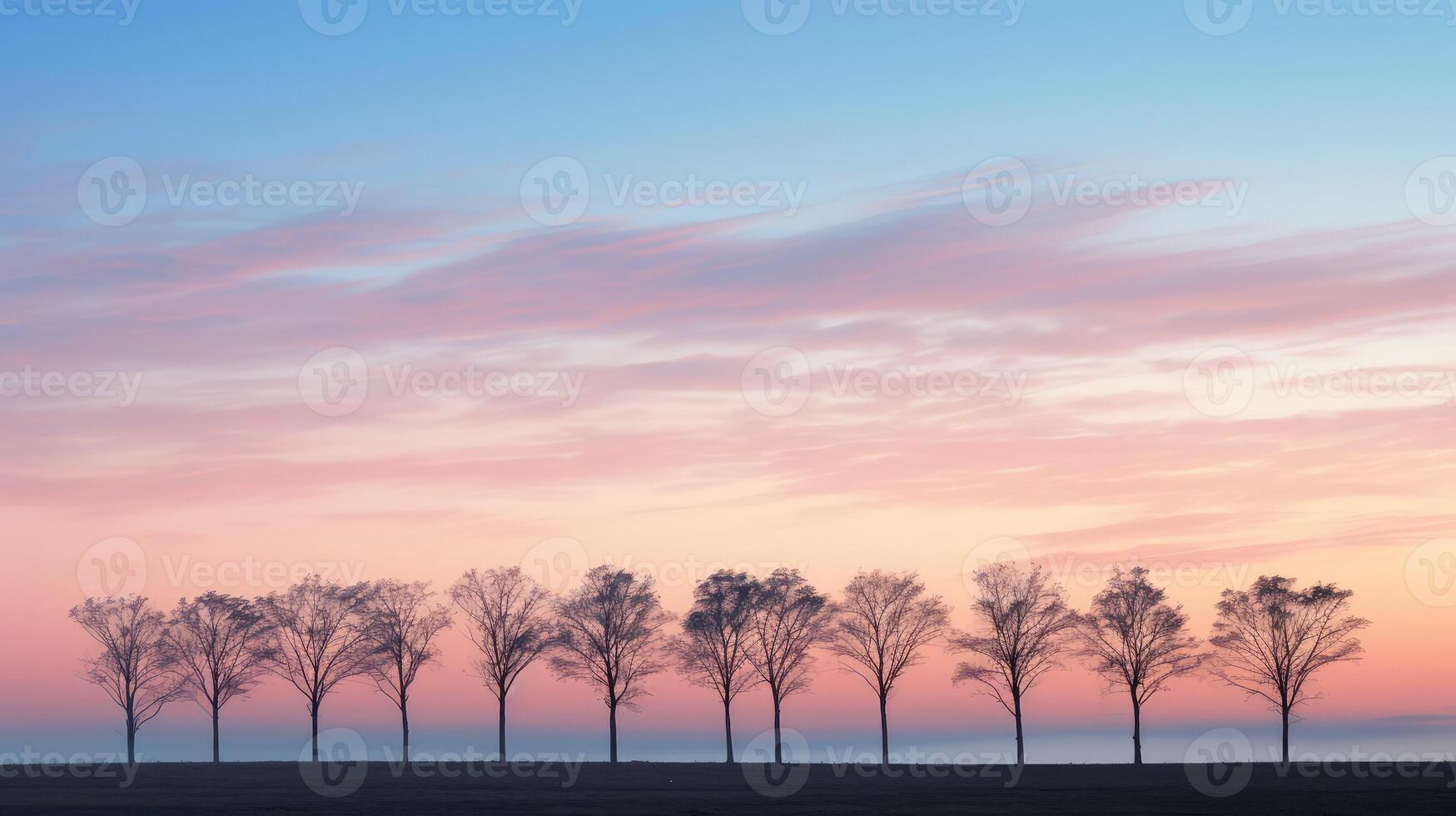 pastel sky with trees photo
