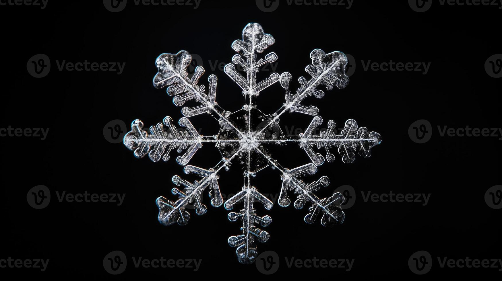 patterns snowflake on black photo