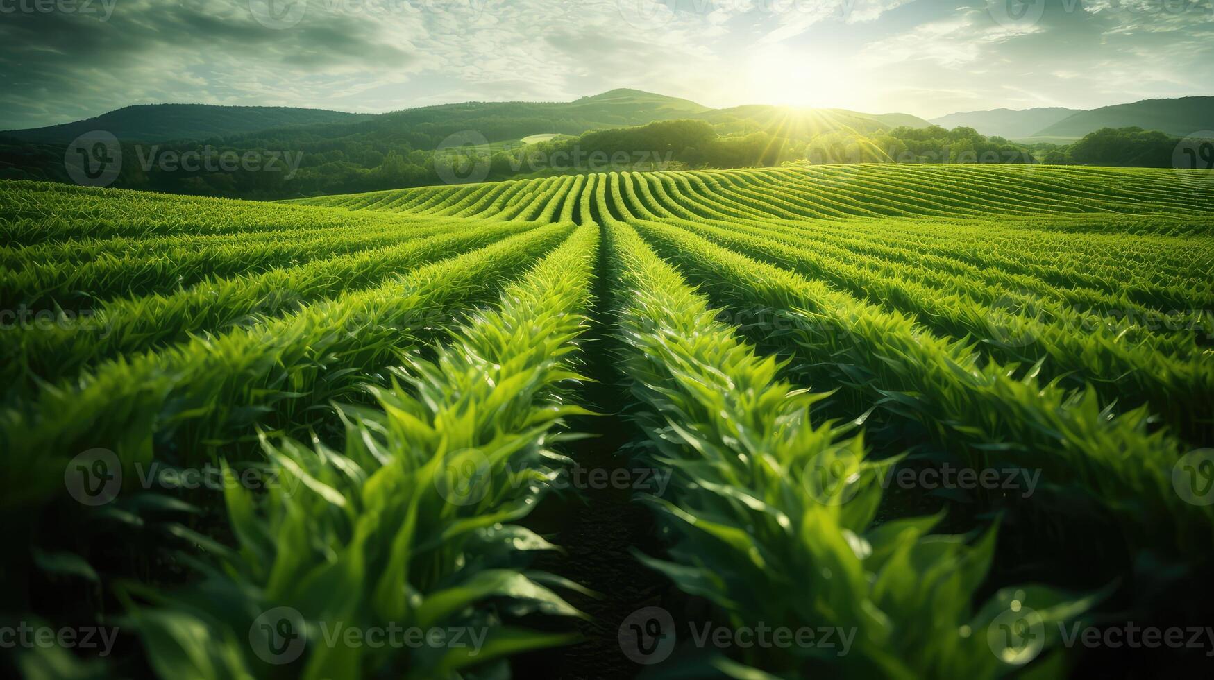 biotechnology dna green photo