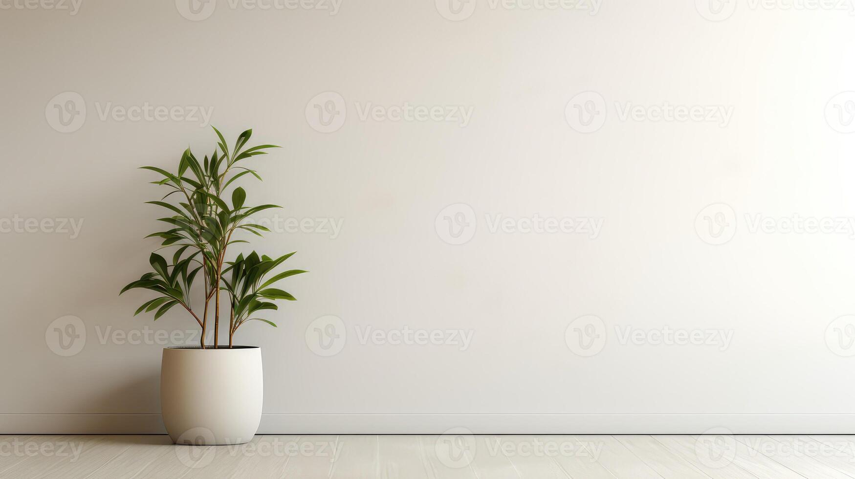 design blank wall plant photo