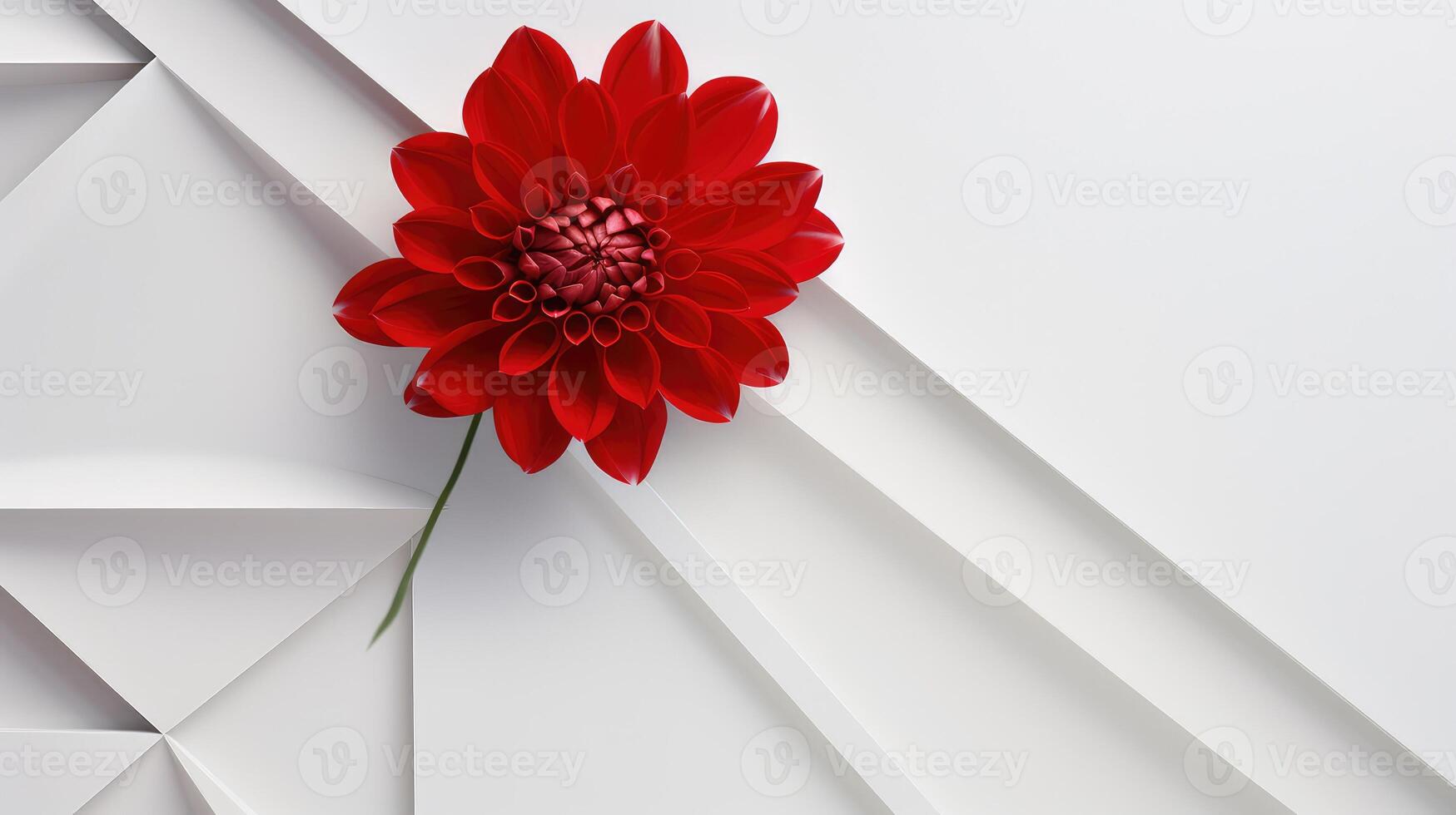 sharp red white background photo