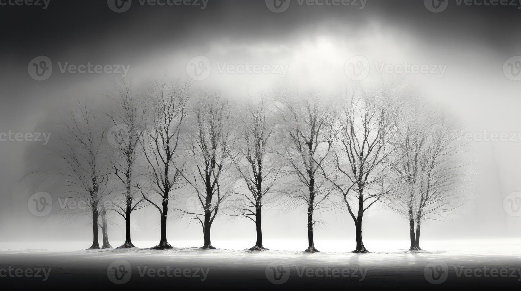 landscape tree in snow photo
