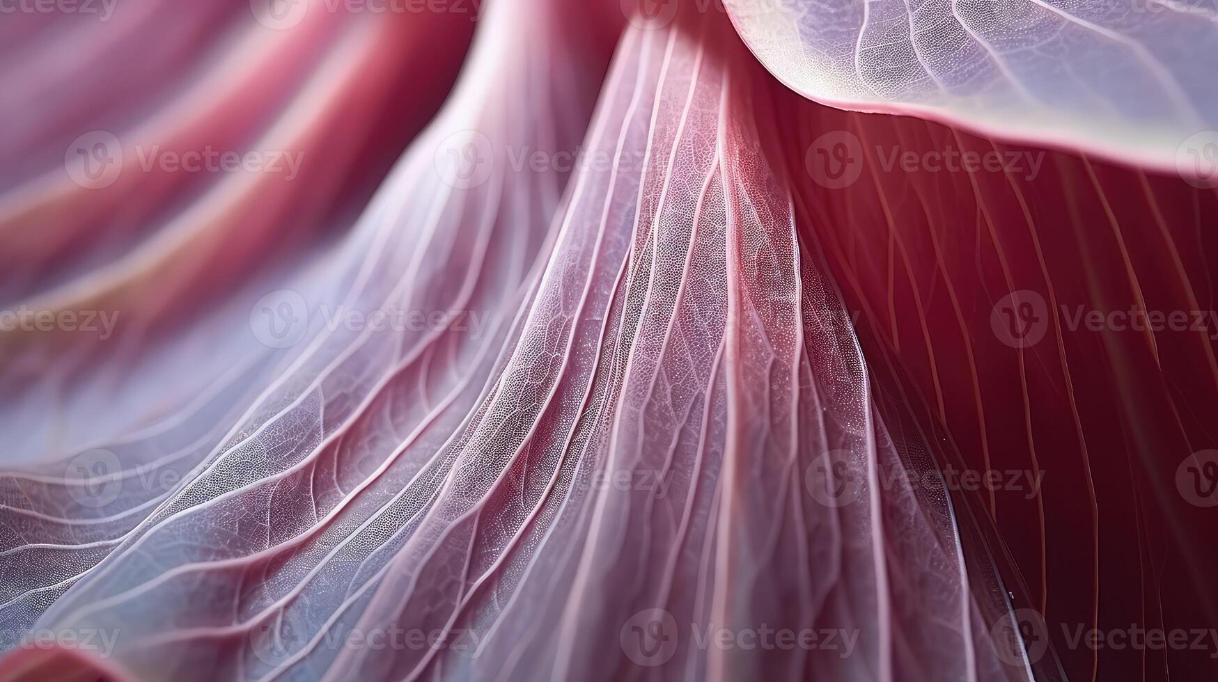 macro photography texture photo