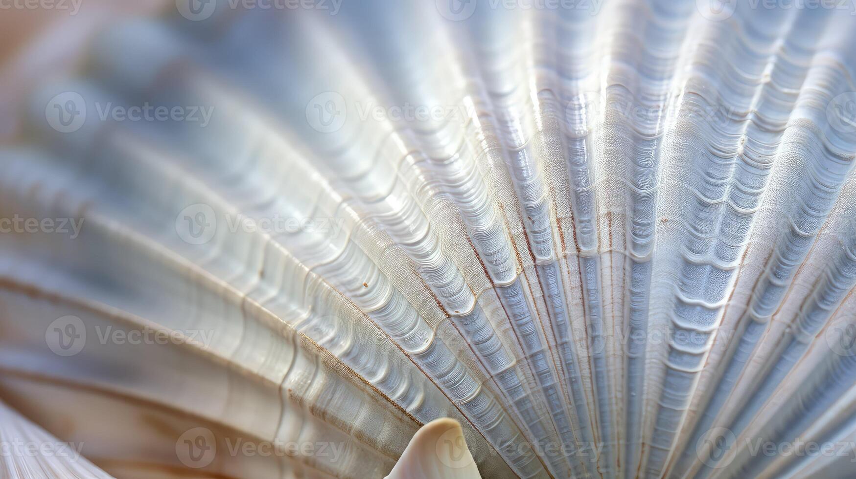 intricate macro texture photo