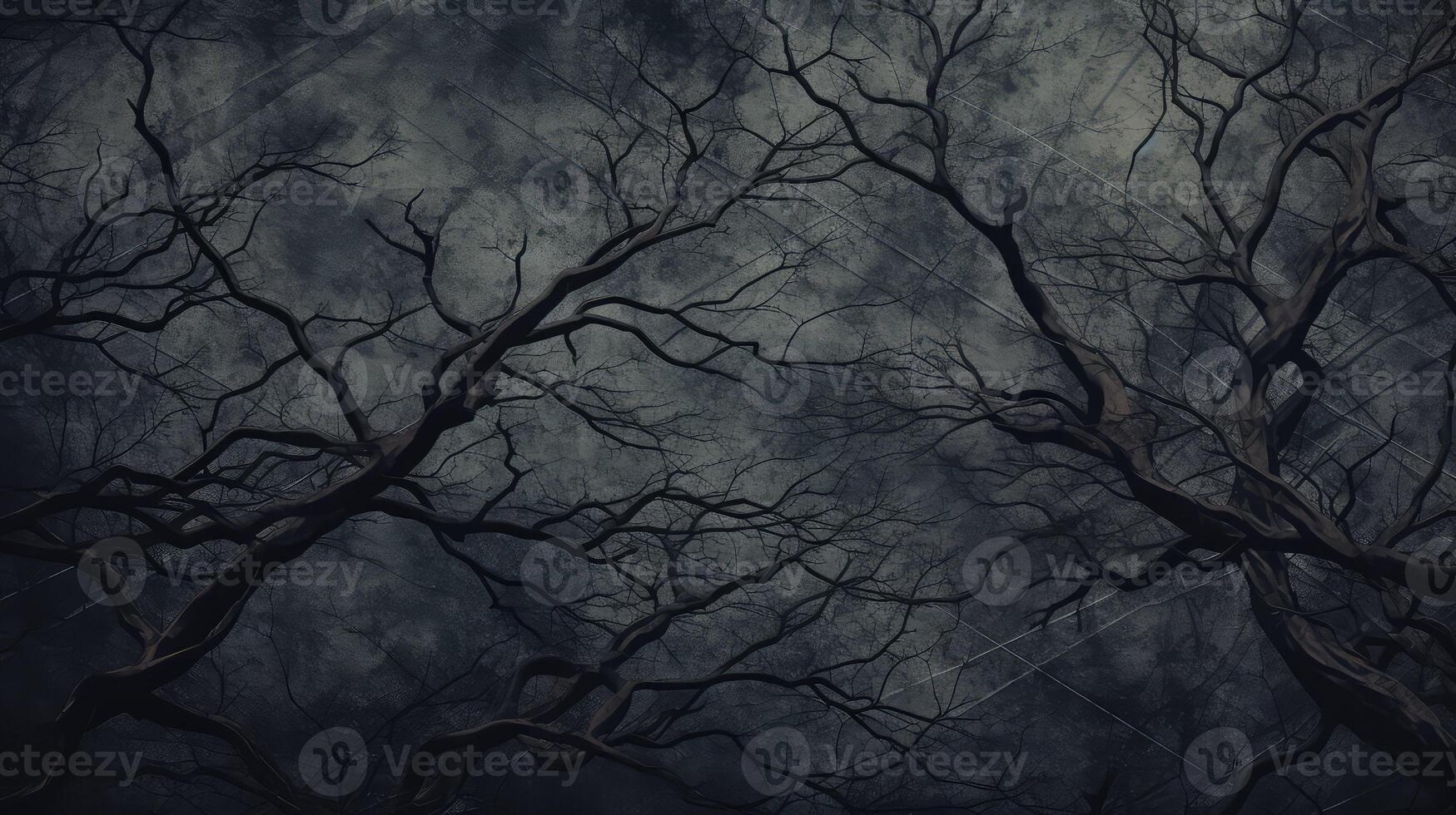 branches black graphic designer photo