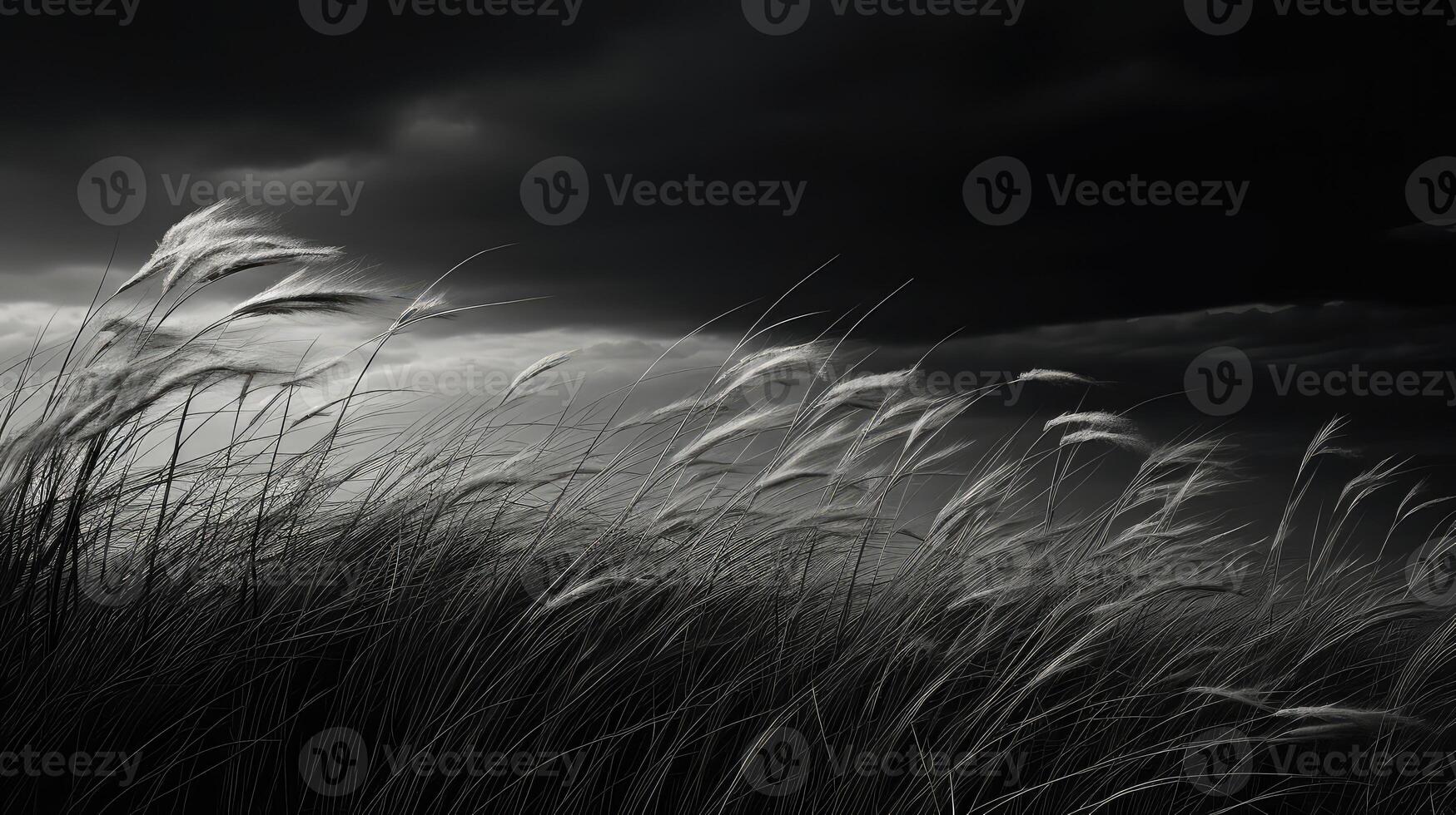 texture black and white stripes background photo