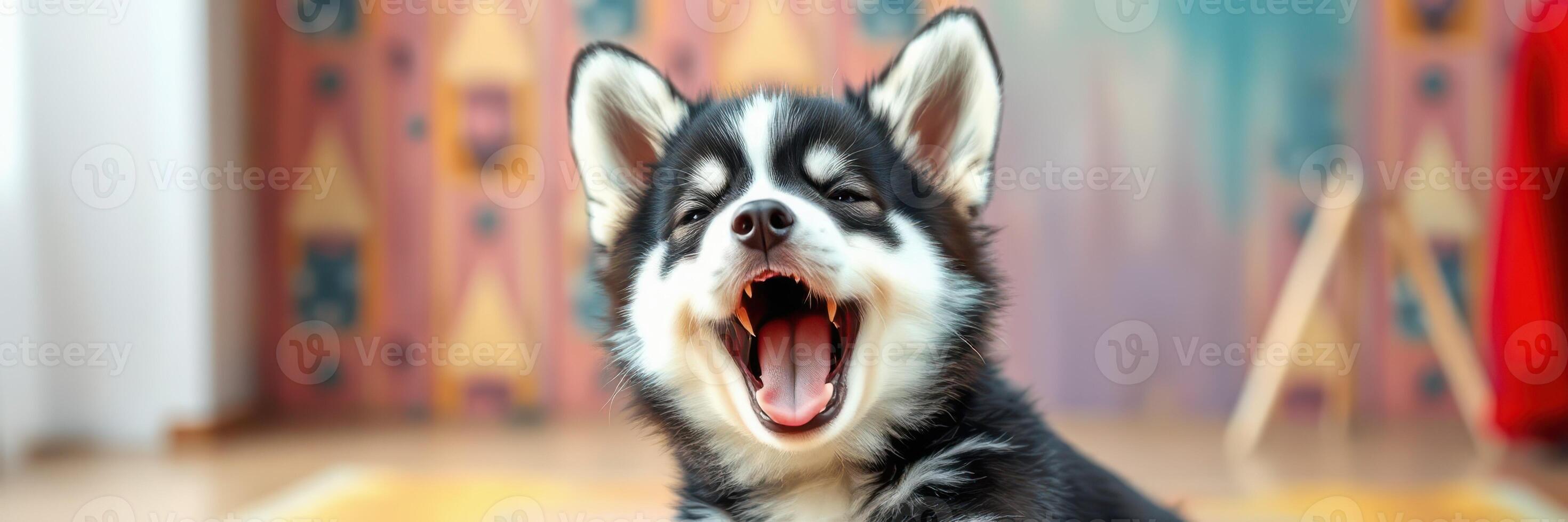 Happy puppy enjoying playtime indoors in a brightly colored room with artistic decor photo