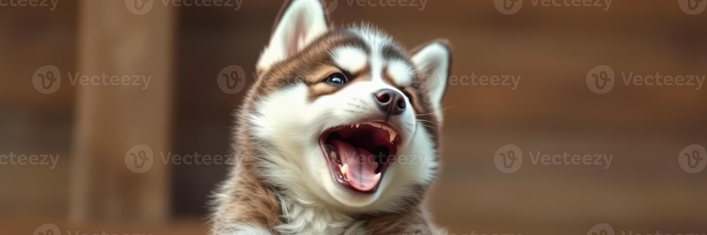 Happy puppy plays joyfully in a sunny outdoor setting, showcasing its playful personality and fluffy fur photo