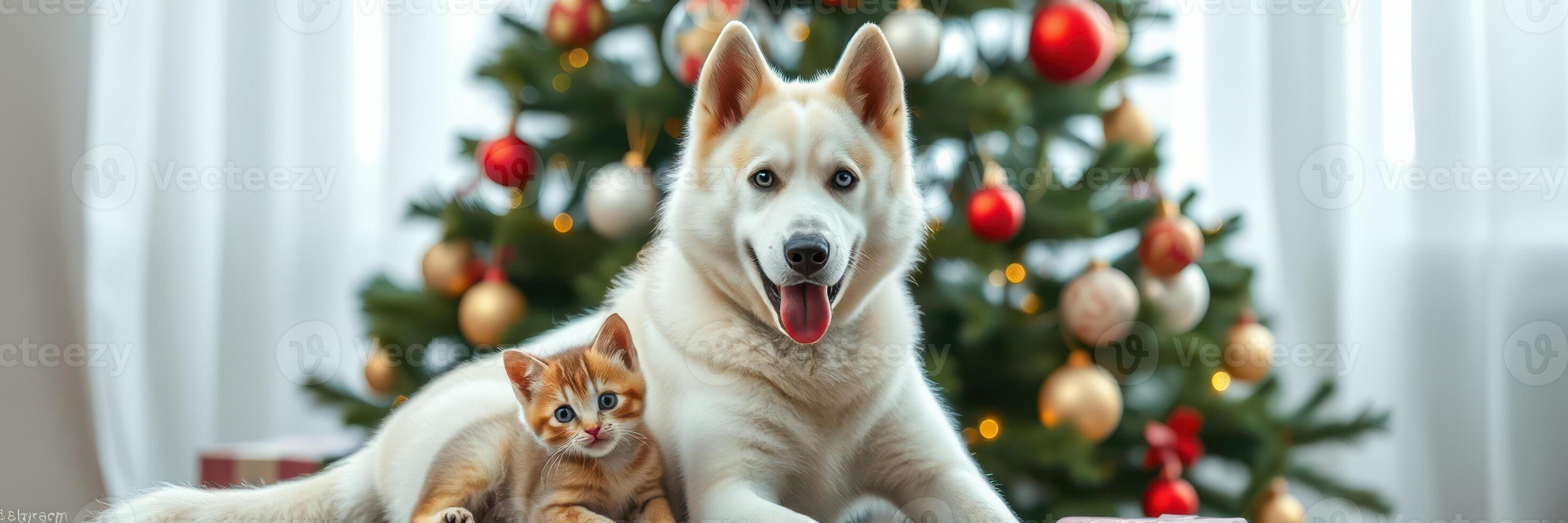 Dog and cat relaxing together near a decorated Christmas tree in a cozy living room photo