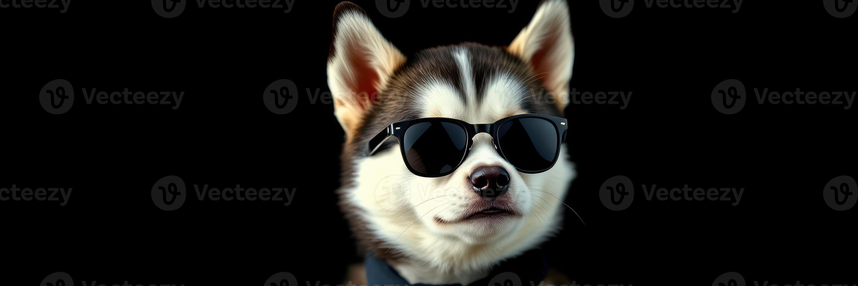 Dog wearing sunglasses poses confidently against a dark background, showcasing a playful personality and unique style photo