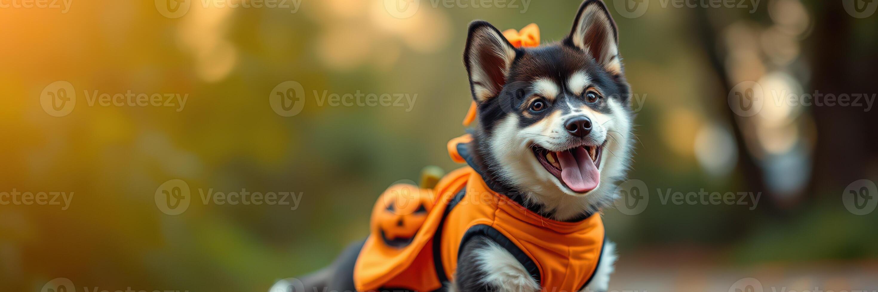 Happy dog in orange Halloween costume enjoying autumn park with a joyful expression and festive spirit photo