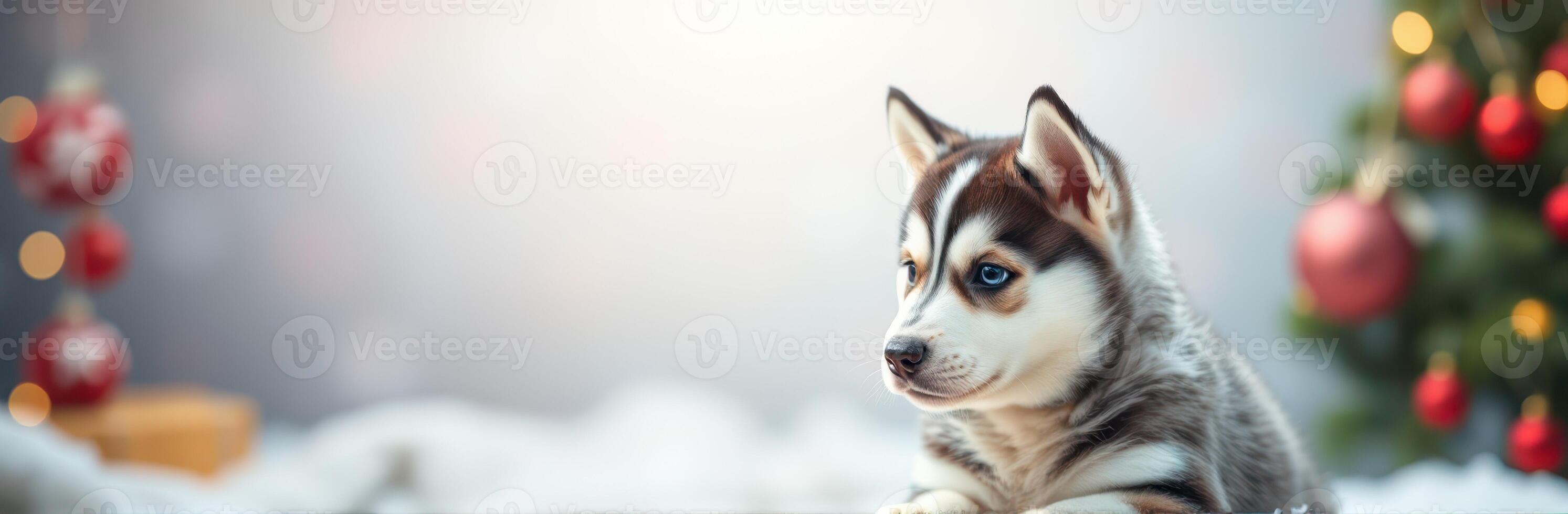Cute husky puppy sitting comfortably near a decorated Christmas tree with ornaments in a cozy indoor setting photo