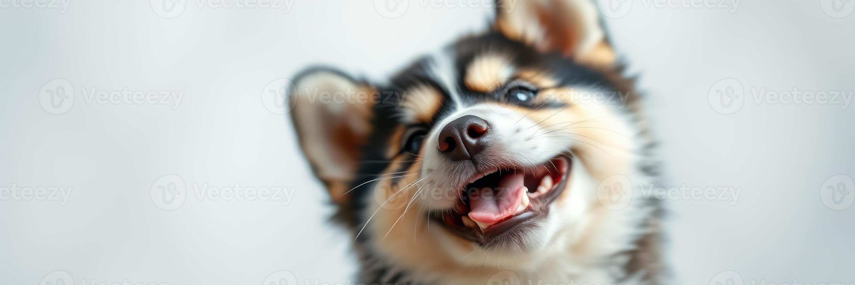 Happy puppy with a joyful expression in a soft, neutral background during a playful moment indoors photo