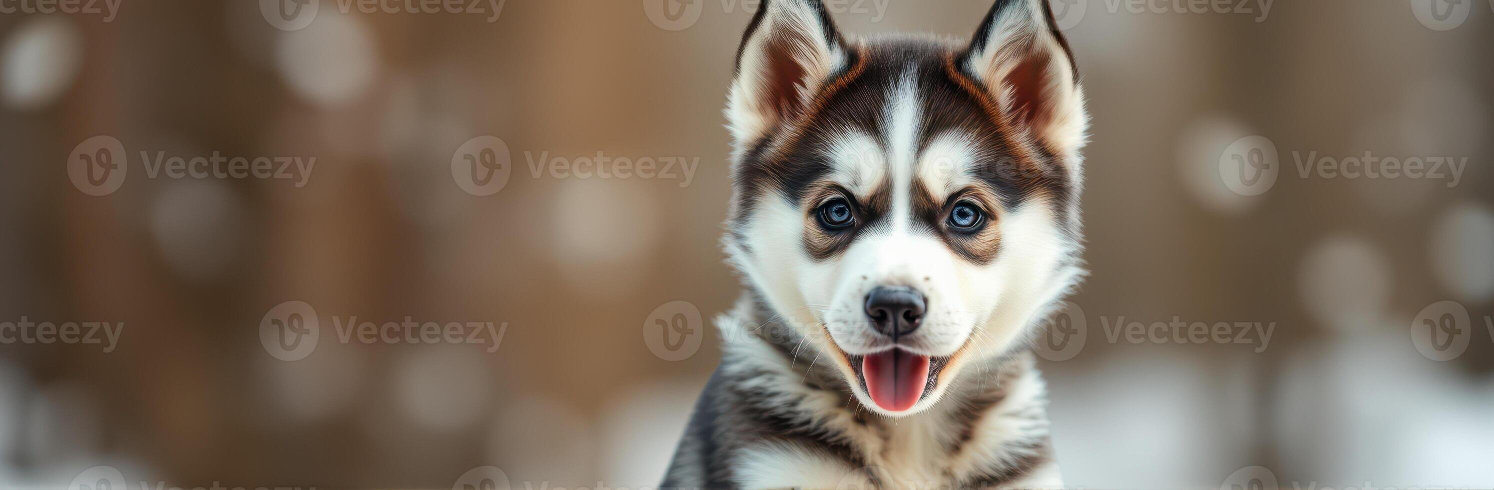 Siberian husky puppy stands playfully in a snowy forest with blurred bokeh background during winter afternoon photo