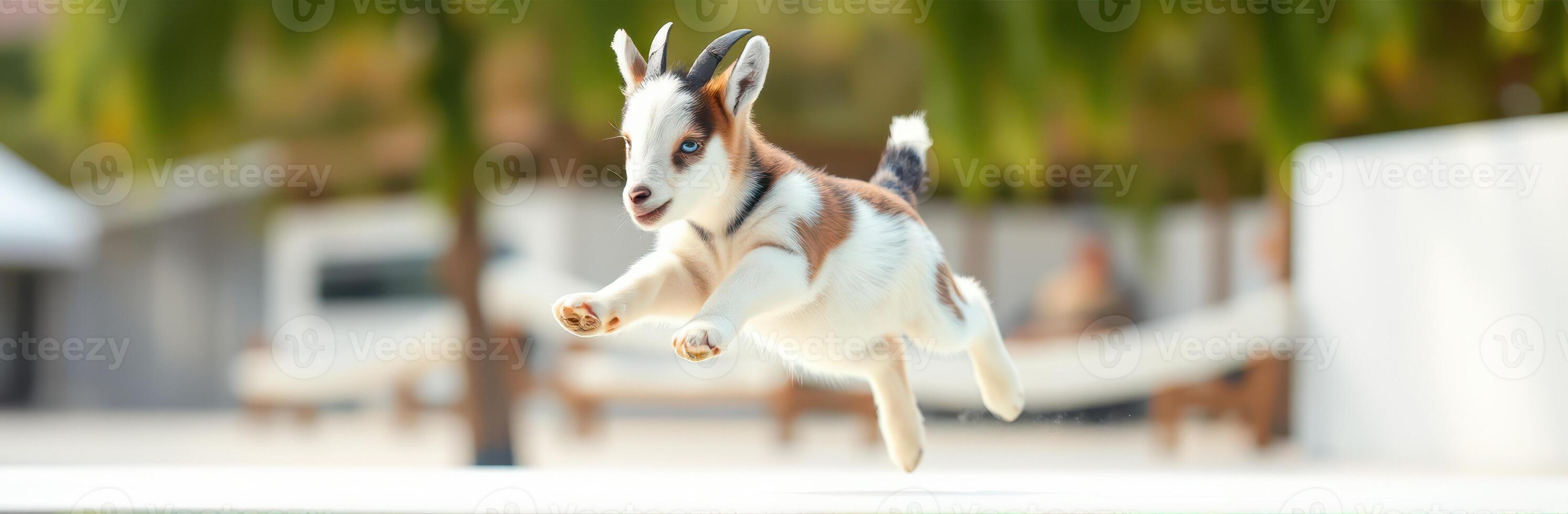 Playful young goat jumps joyfully in a sunny outdoor garden setting during daytime photo