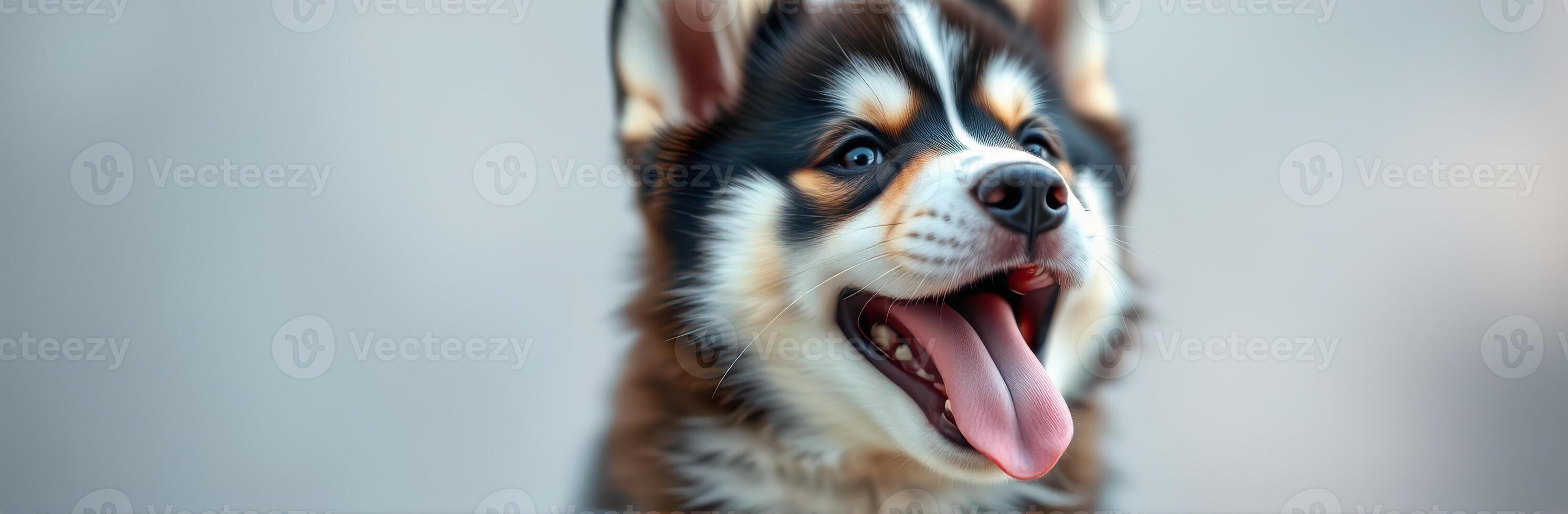 Happy dog with a playful expression enjoying a sunny day outdoors in a park photo