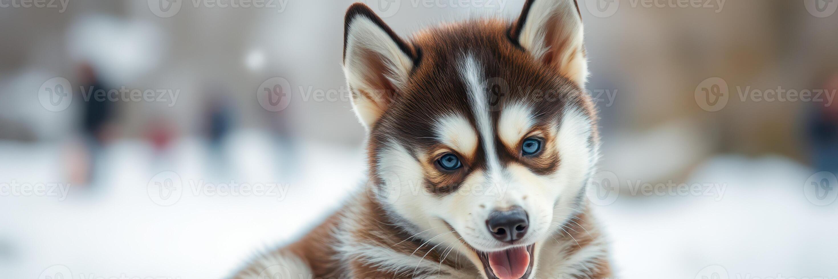 Cute puppy plays in the snow, surrounded by a winter wonderland and a soft-focus background of people enjoying the outdoors photo