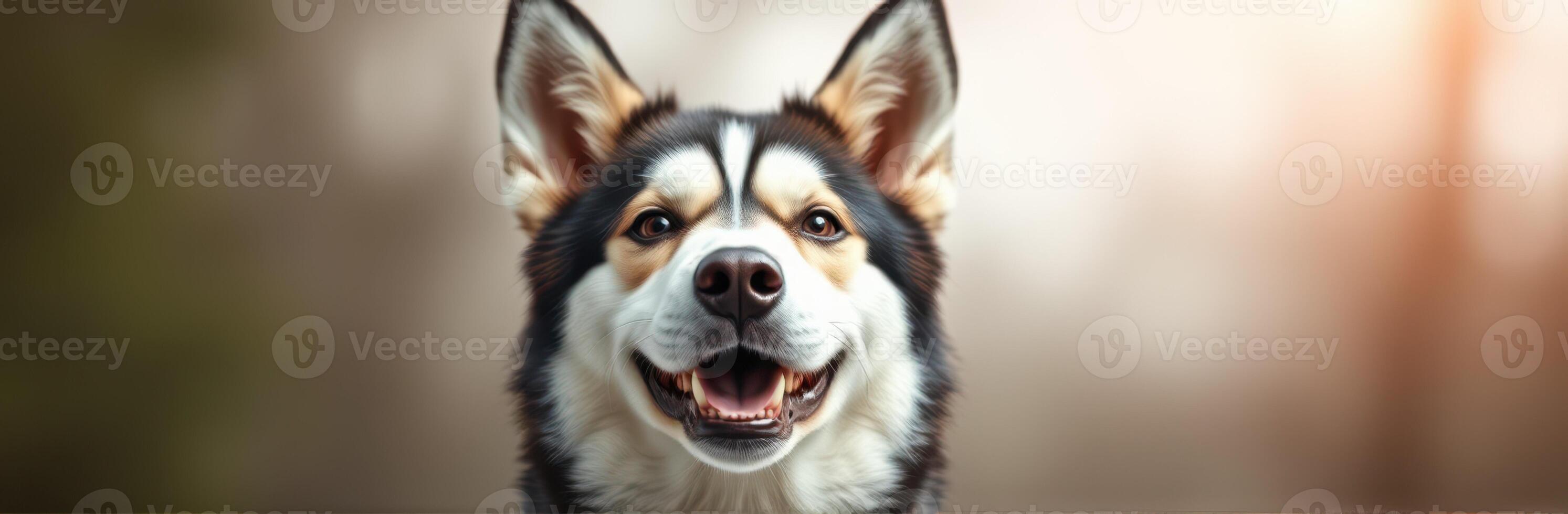 Happy dog with alert expression enjoying a sunny day outdoors in a serene setting photo