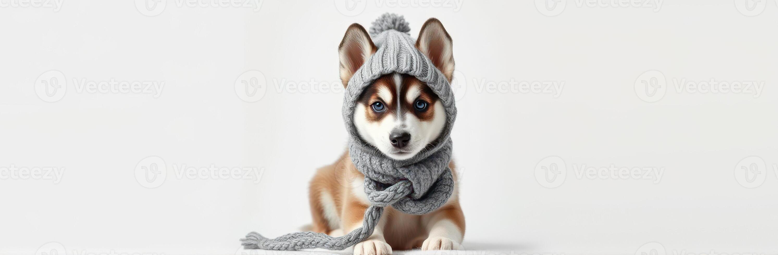 Adorable dog wearing a cozy grey knit hat and scarf in a warm indoor setting during winter photo