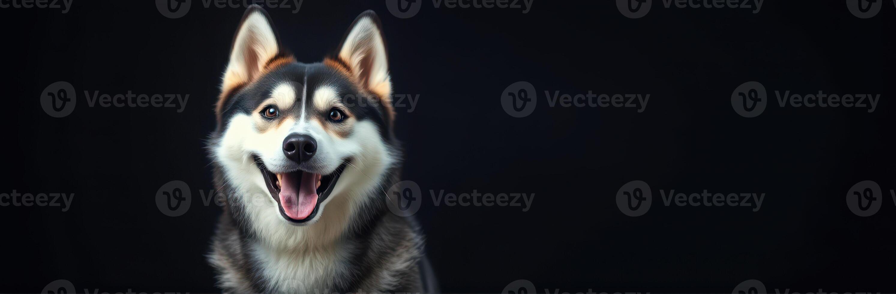 Happy dog with a friendly expression posing on a dark background in a studio setting photo