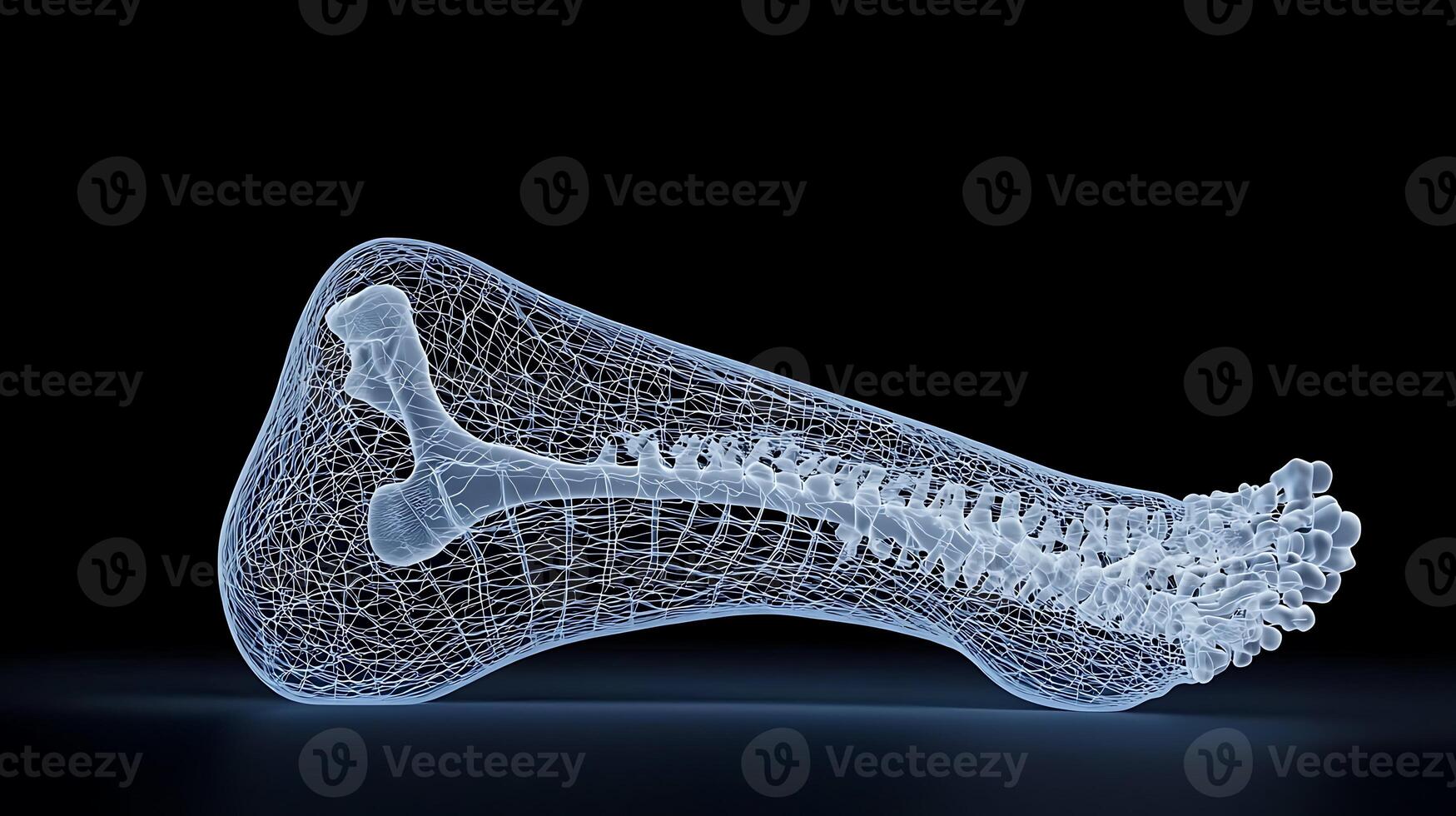 3D X-ray visualization of a human leg bone structure against a dark background photo