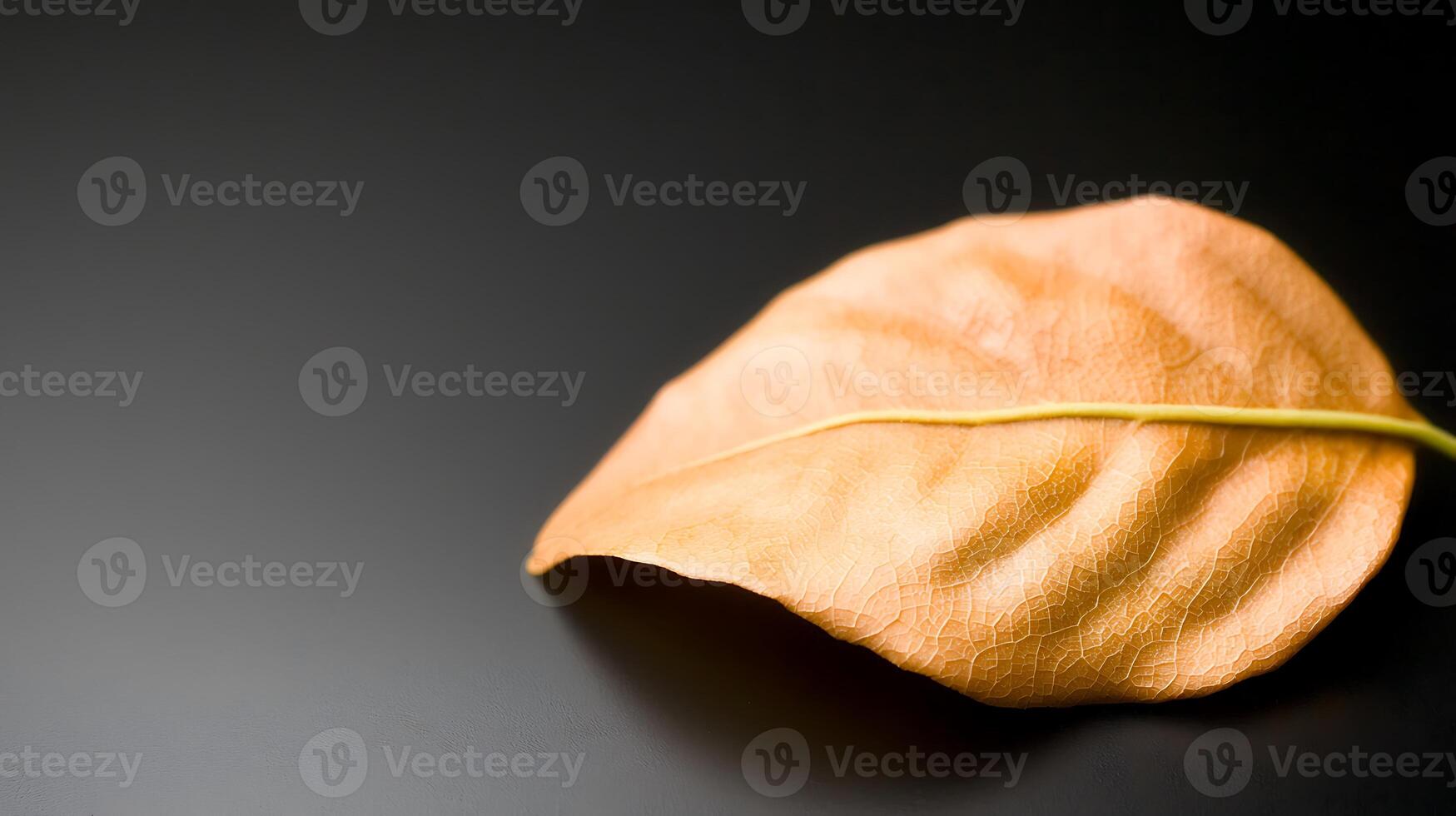 A single orange leaf on a black surface photo
