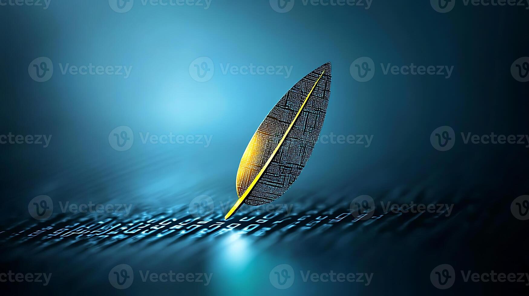A feather on a computer keyboard photo