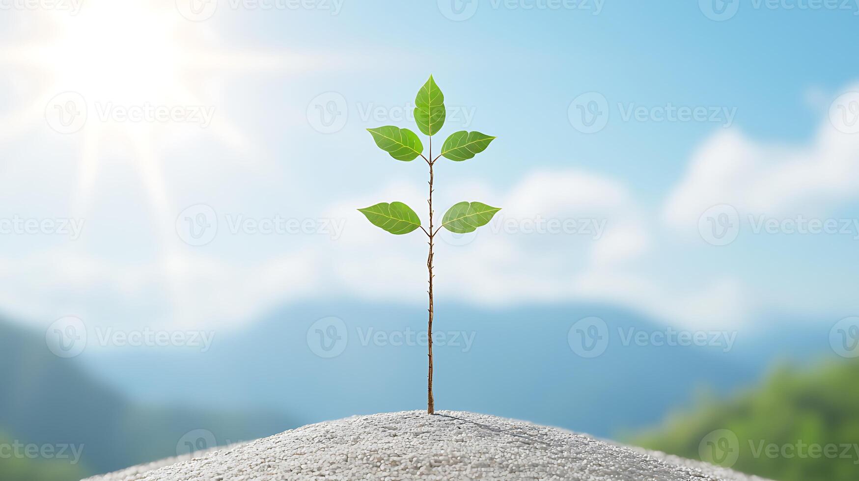 A plant growing out of a mound of sand photo