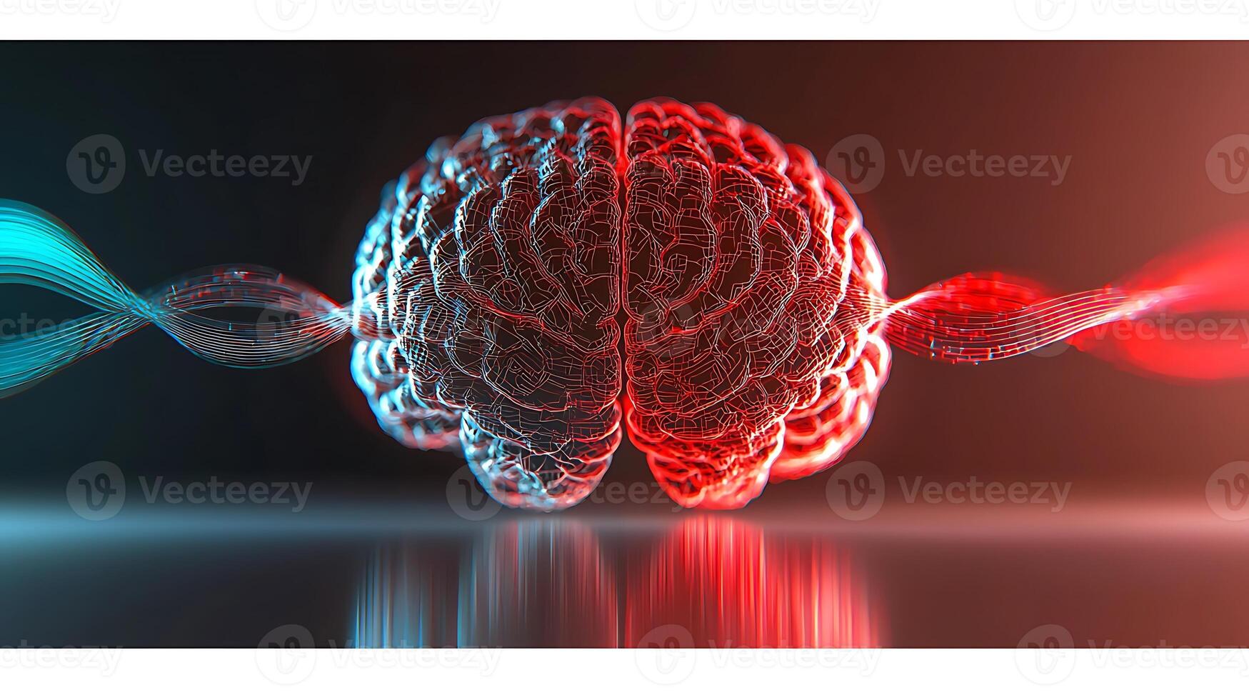 The brain is shown with red and blue lines photo