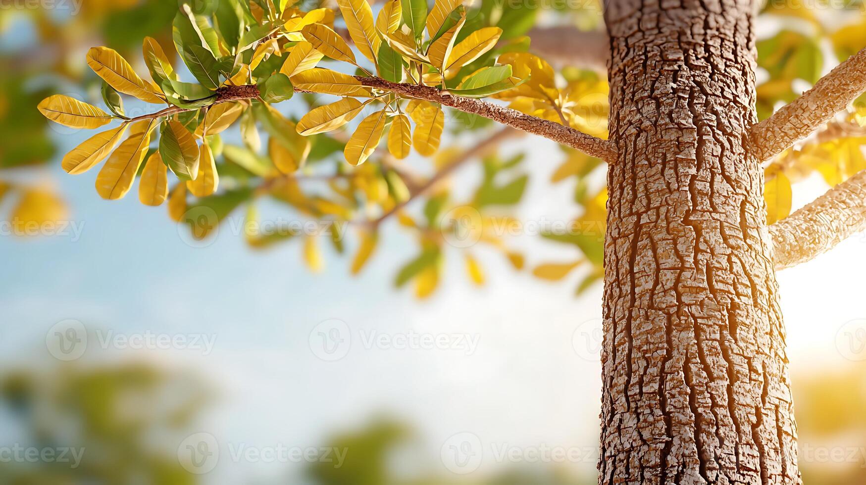 Close-up of a textured tree trunk with vibrant yellow leaves against a blurred natural background photo