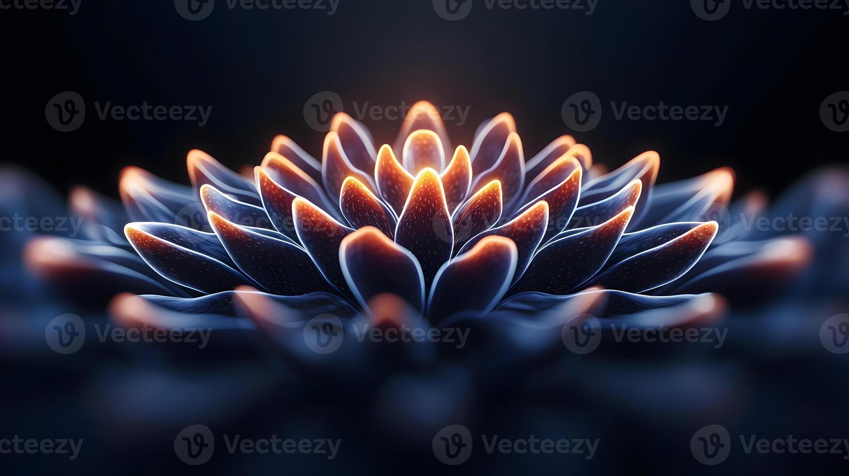 Close-up of a vibrant, glowing succulent plant with intricate details against a dark background photo