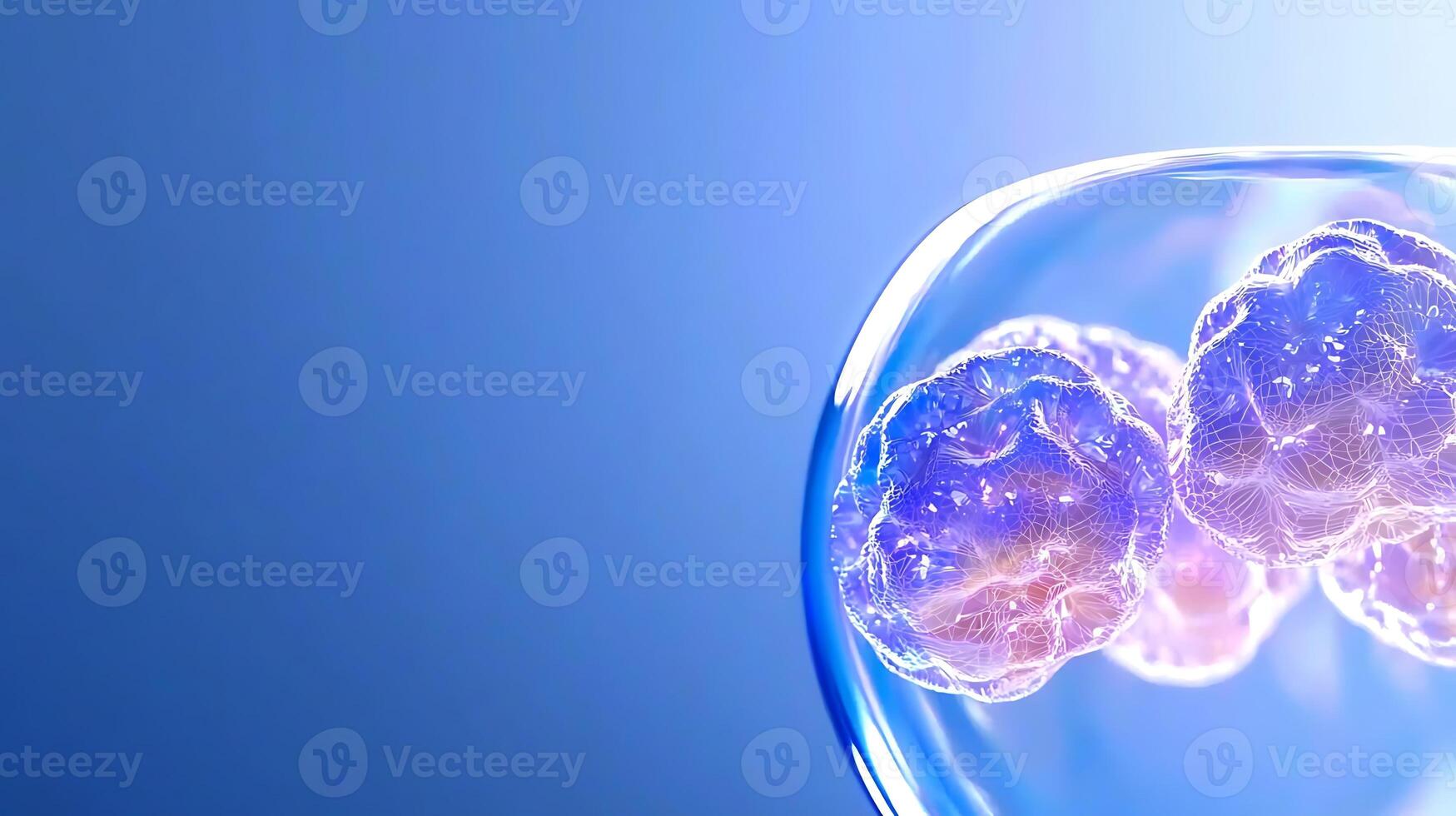 A close up of a cell in a glass vase photo