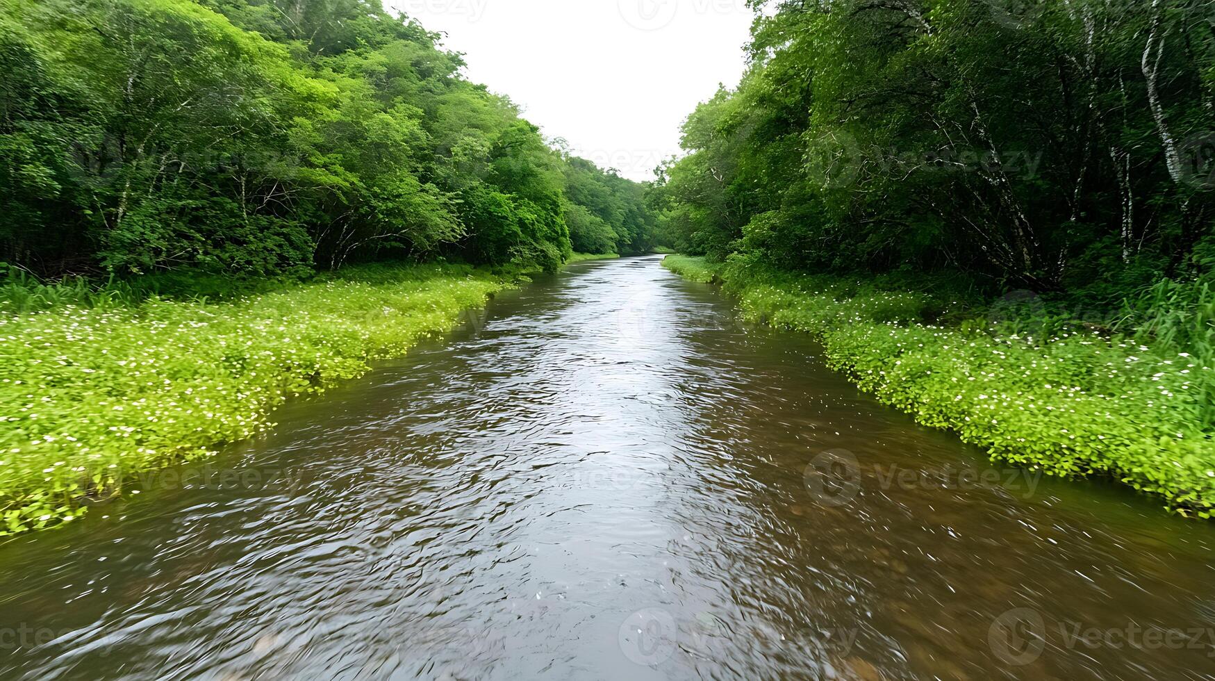 A river running through a forest with green grass photo